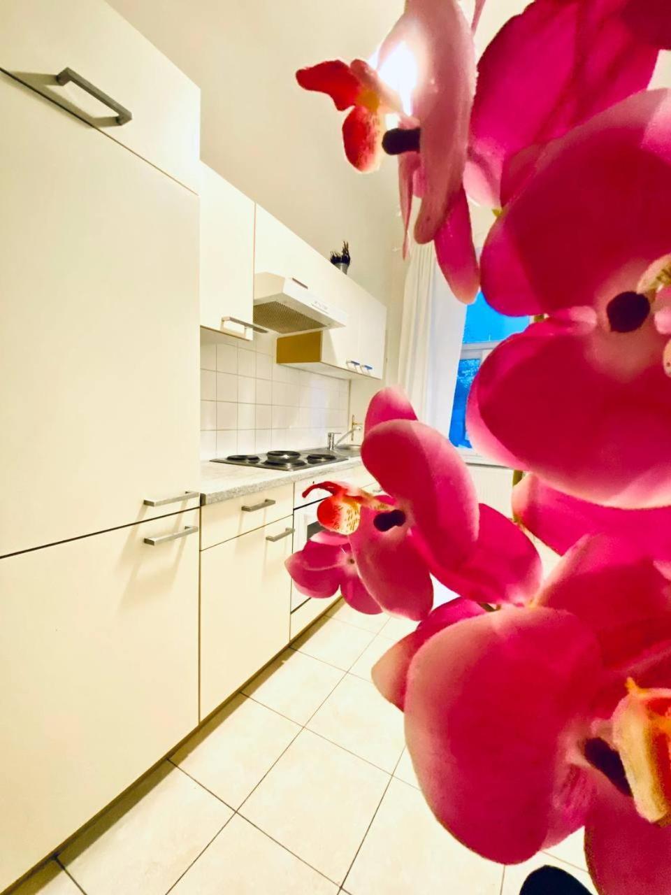 Appartement Family Th8 8 *
